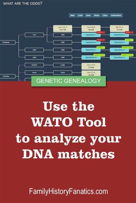 dna painter tool|dna painter tool wato.